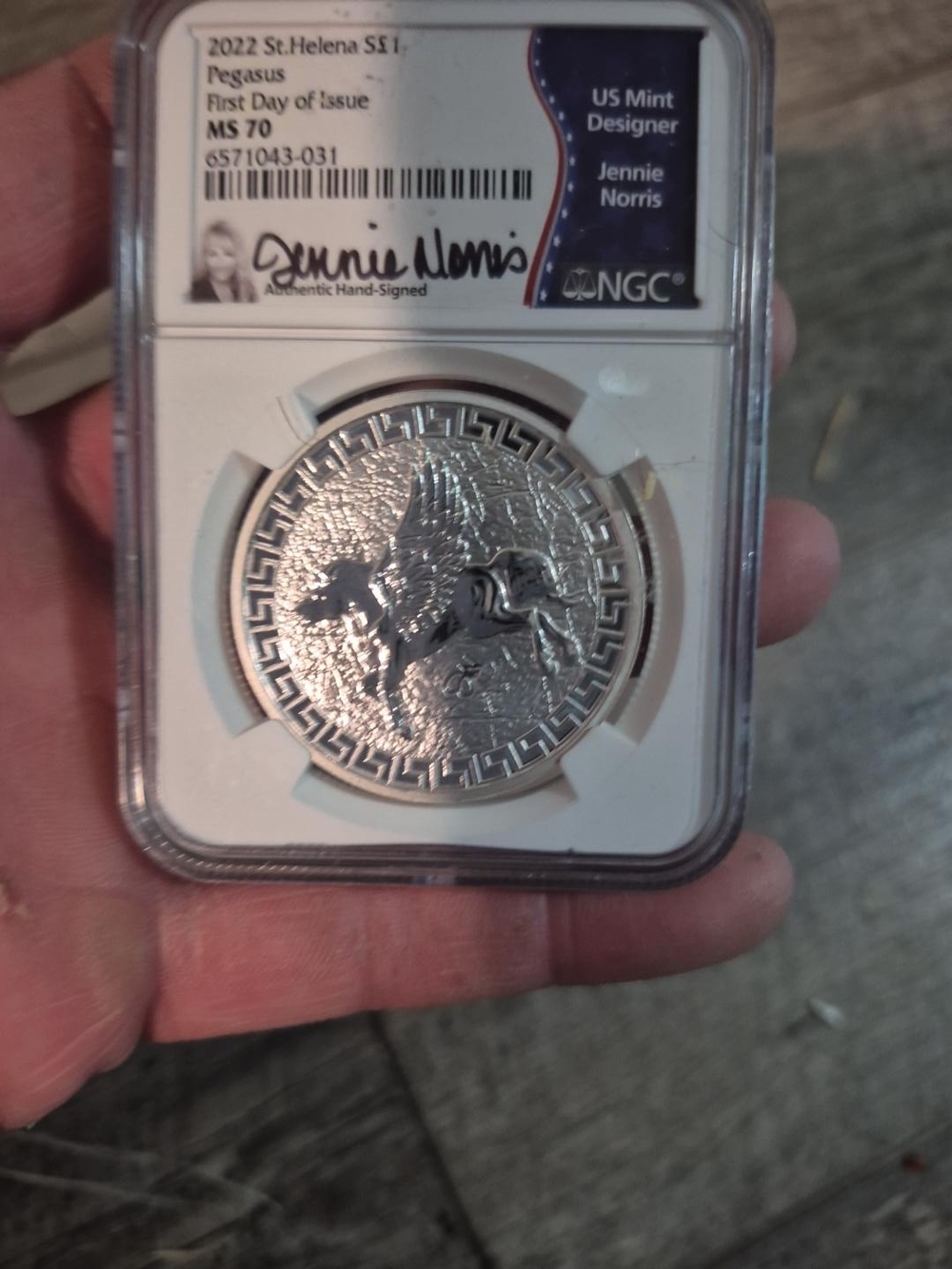 Certified Silver Pegasus Coin - Silver